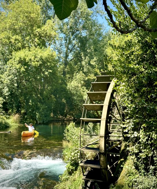 Canoe Safari (thumbnail) (Custom)