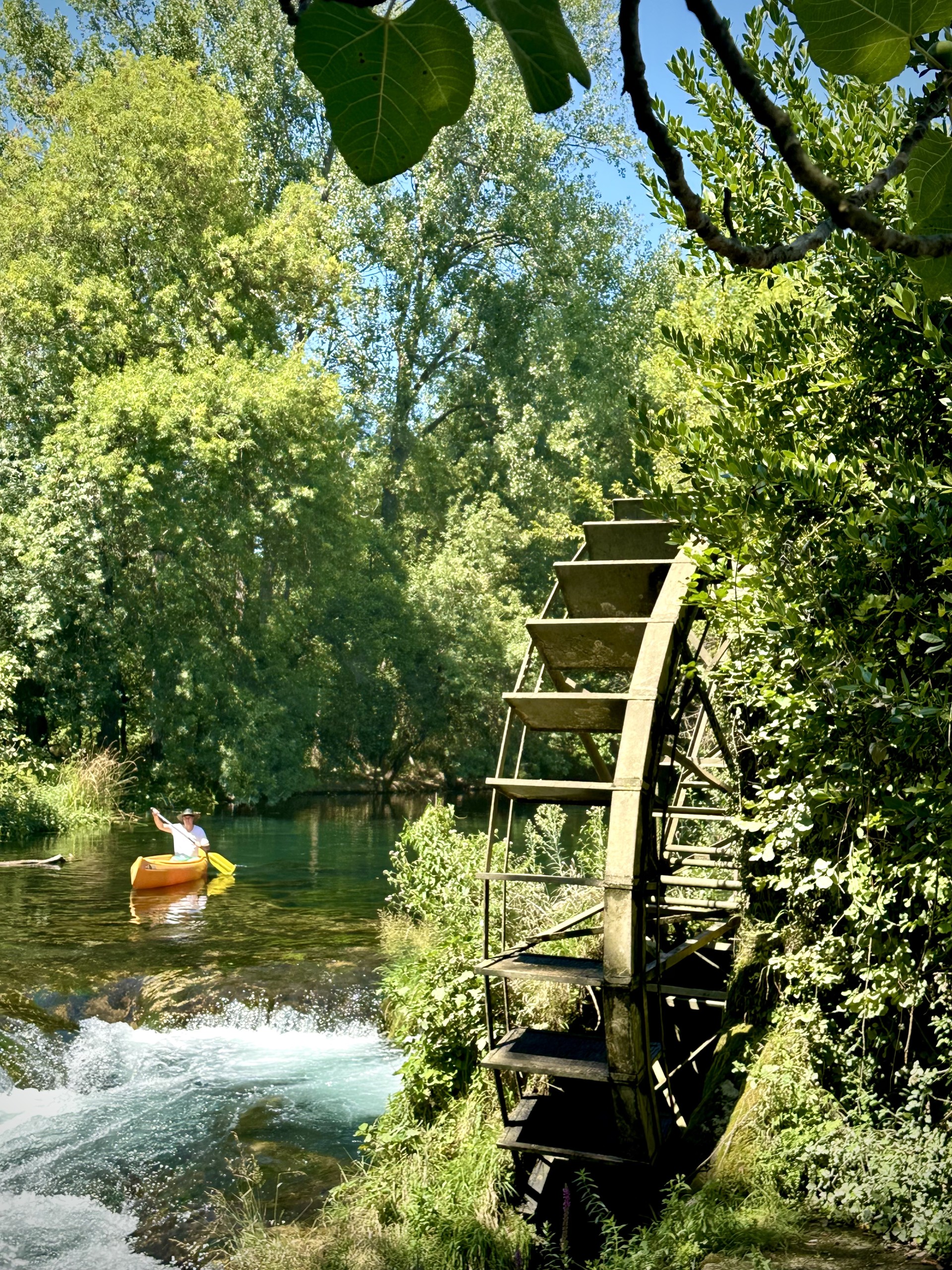 Canoe Safari on the Trebižat