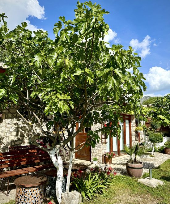 Museum of Herzegovina (Custom)