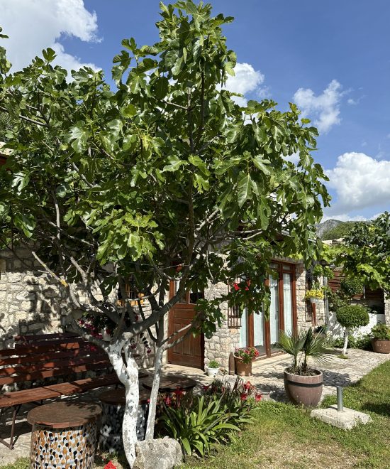 Museum of Herzegovina Exterior (Custom)