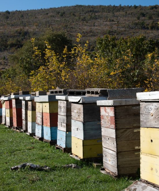Beekeeping.