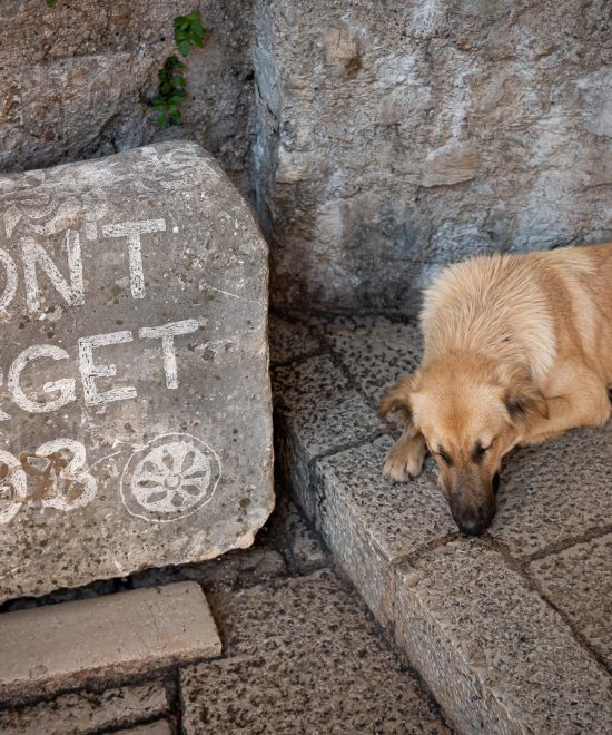 Don't Forget