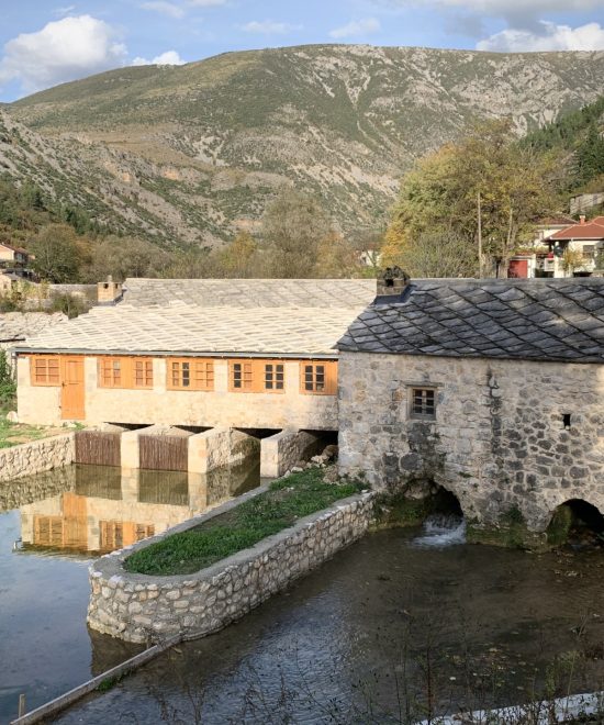 Mills on Bregava (Custom)
