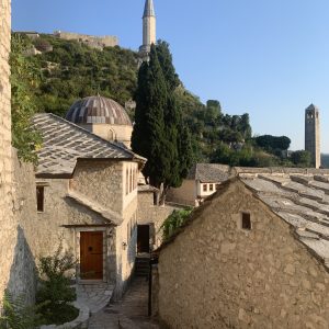 Pocitelj (Custom)