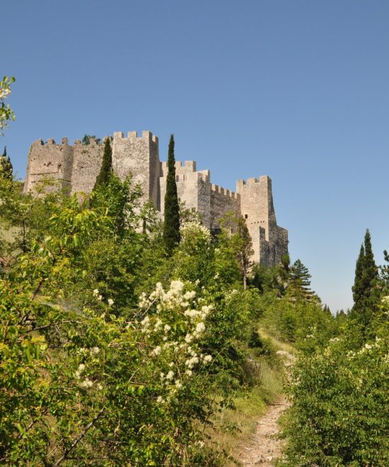 Stjepan Grad Exterior (thumbpring (Custom)