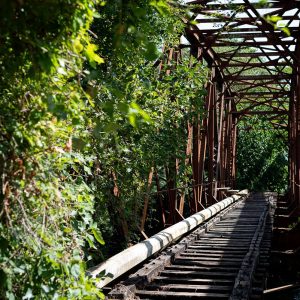 Tracks.