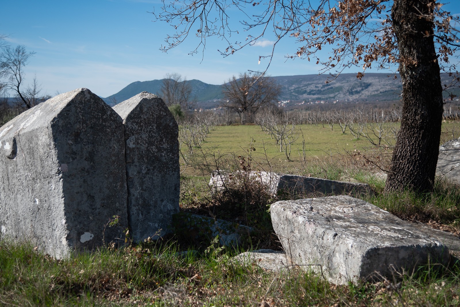 Herzegovina Vineyards Multi-Day Tour (3 day, 2 night)